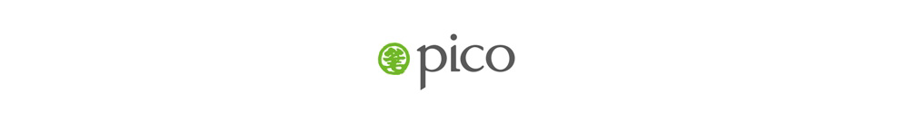 PICO INTERNATIONAL (MACAO) LTD Logo