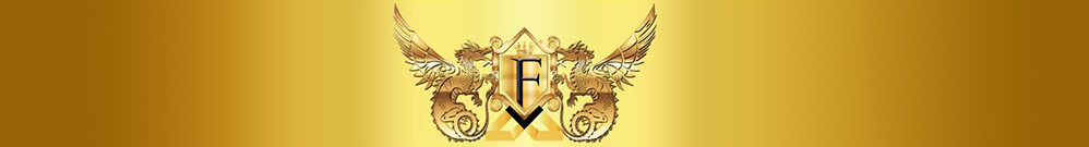 新力量發展顧問有限公司 Logo