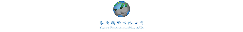 象飛國際有限公司 Logo
